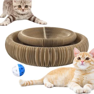 Organ Cat Scratching Board With Balls Toy Interactive