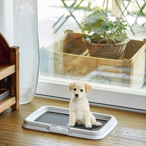 Stefanplast - Puppy Training