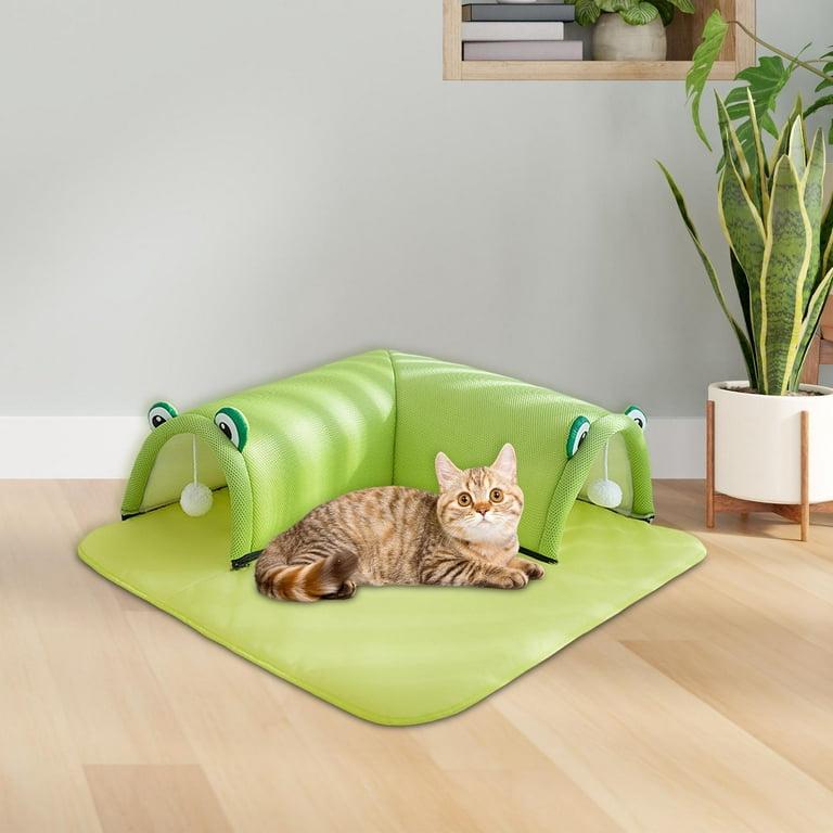 Memory foam ,Sponge -green